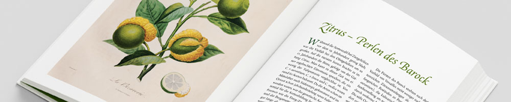 Titelfoto Philosophie